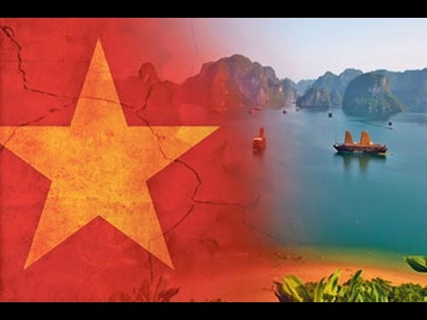 Cách Khởi Nghiệp Kiếm Tiền Bán Thời Gian Dành Cho Người Mới_Gói tiếp thị kỹ thuật số dịch vụ