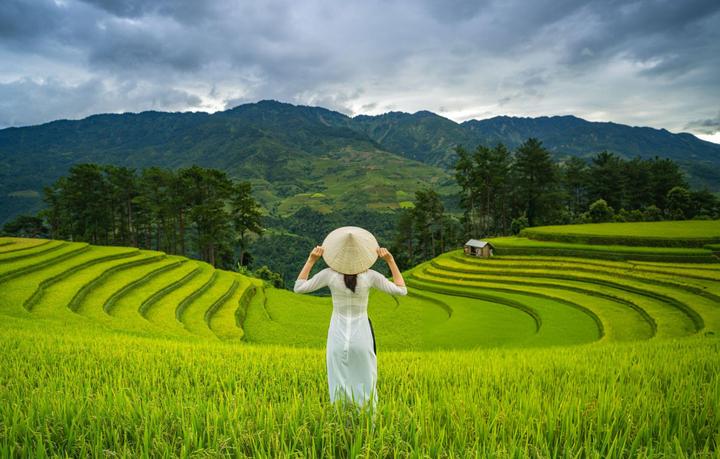 Xu hướng Người bán luôn bổ đôi quả dưa: Hotspot Matrix tiết lộ bí quyết video viral
