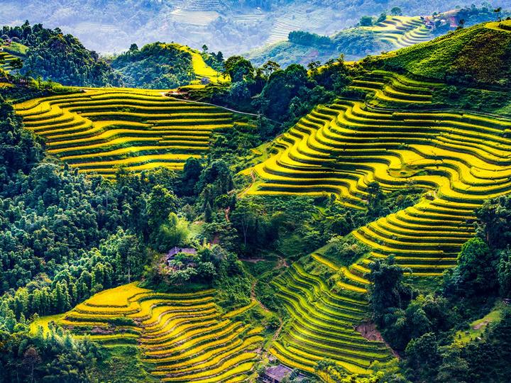 Hotspot Matrix: Bí quyết thành công với video ngắn
