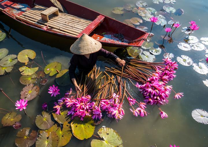 5 kiểu áo dễ