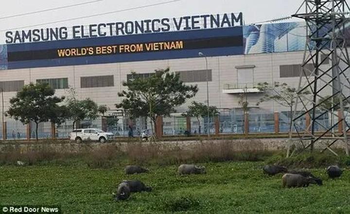 Hotspot Matrix: Biến Động thái bất ngờ của BTV thành cơ hội marketing đột phá